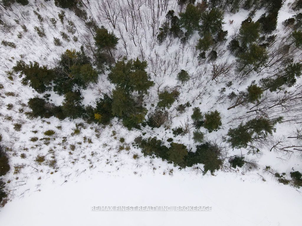 5 Hinterland Lane Property Photo 31
