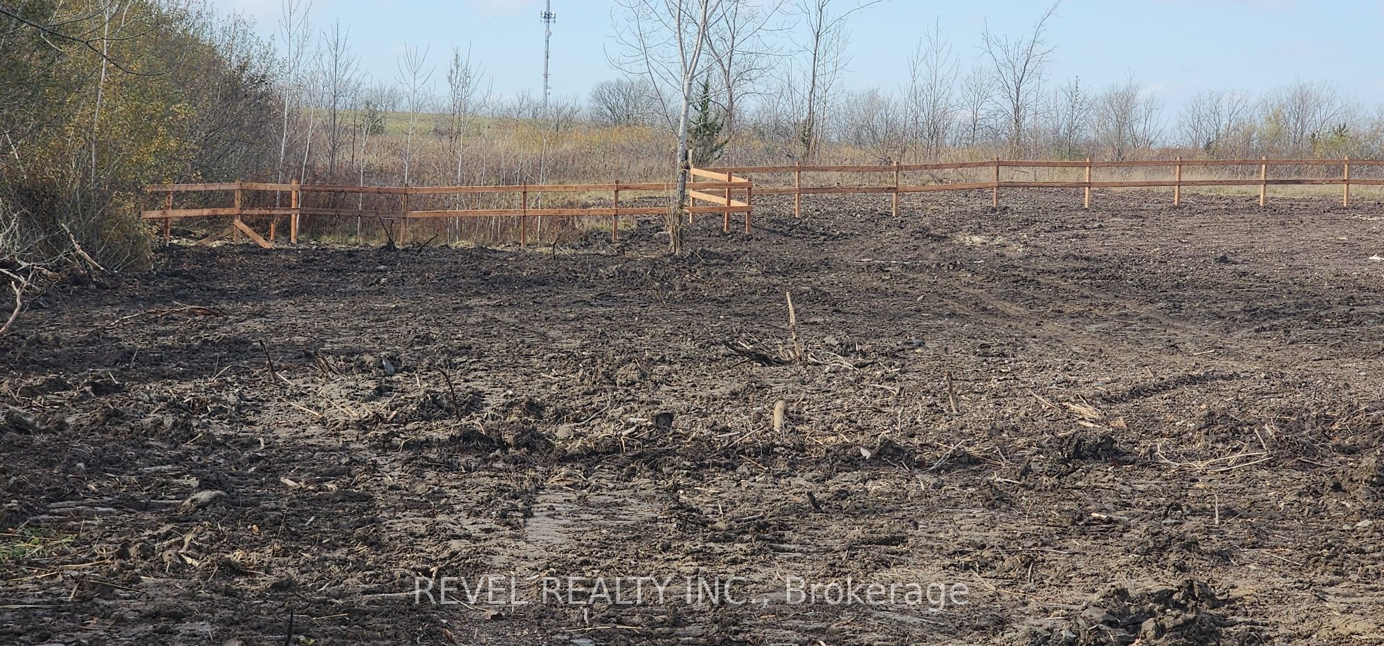 260 Colborne Street Property Photo 6