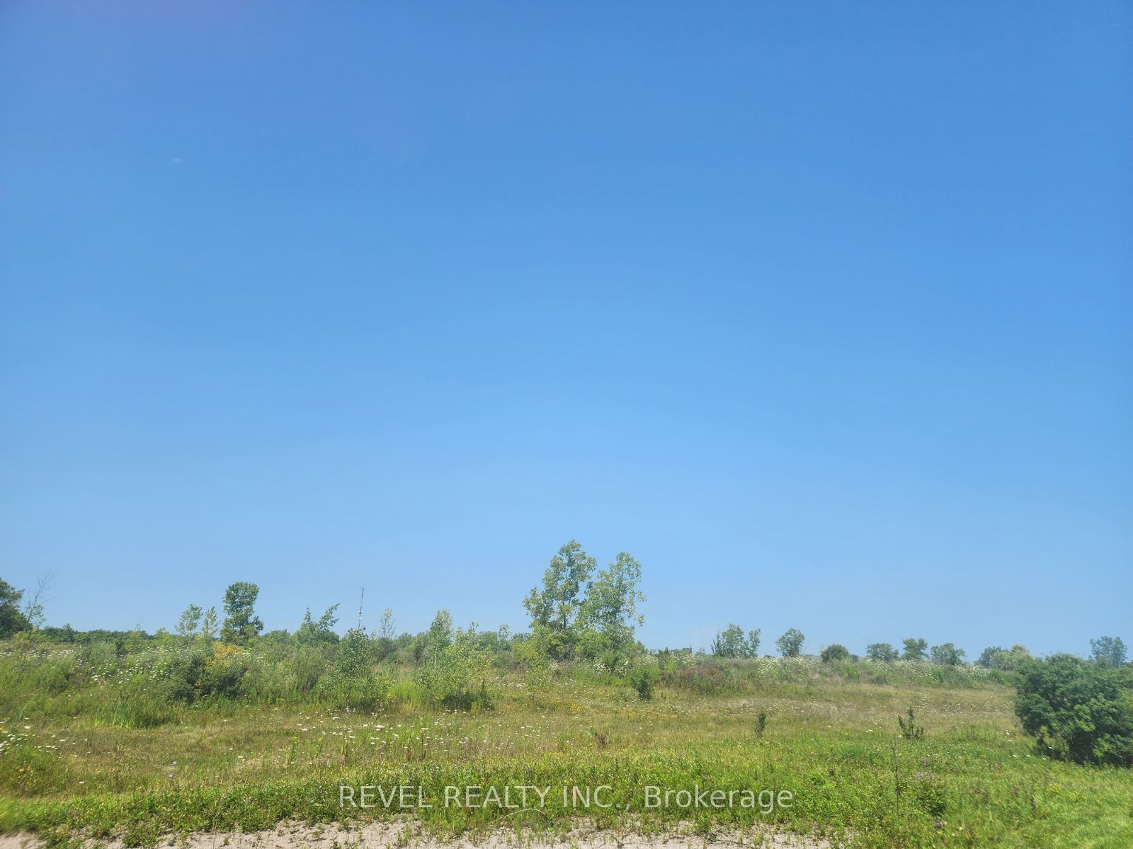 260 Colborne Street Property Photo 13
