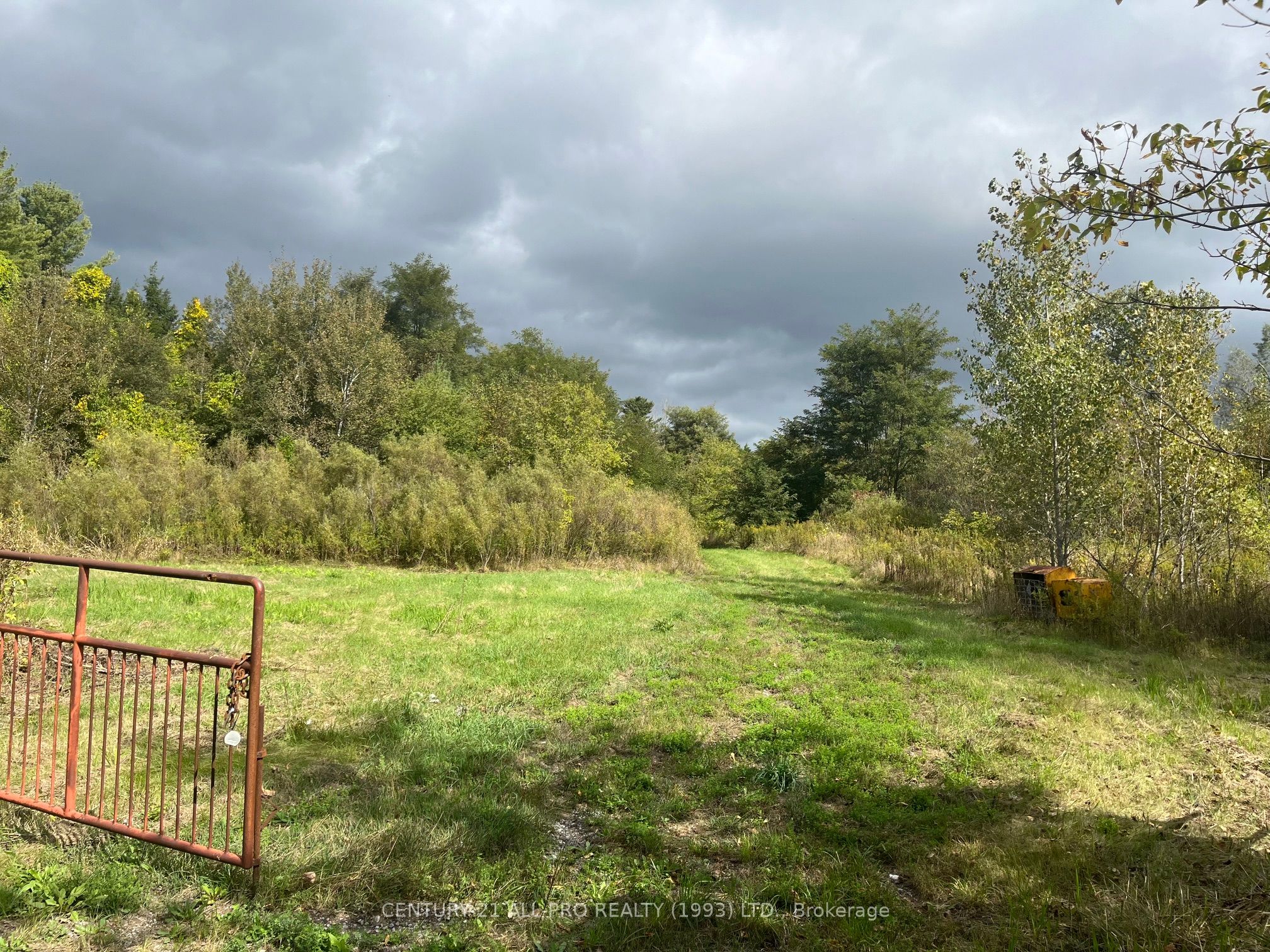 Pt Lt 9 Workman Road Property Photo 10
