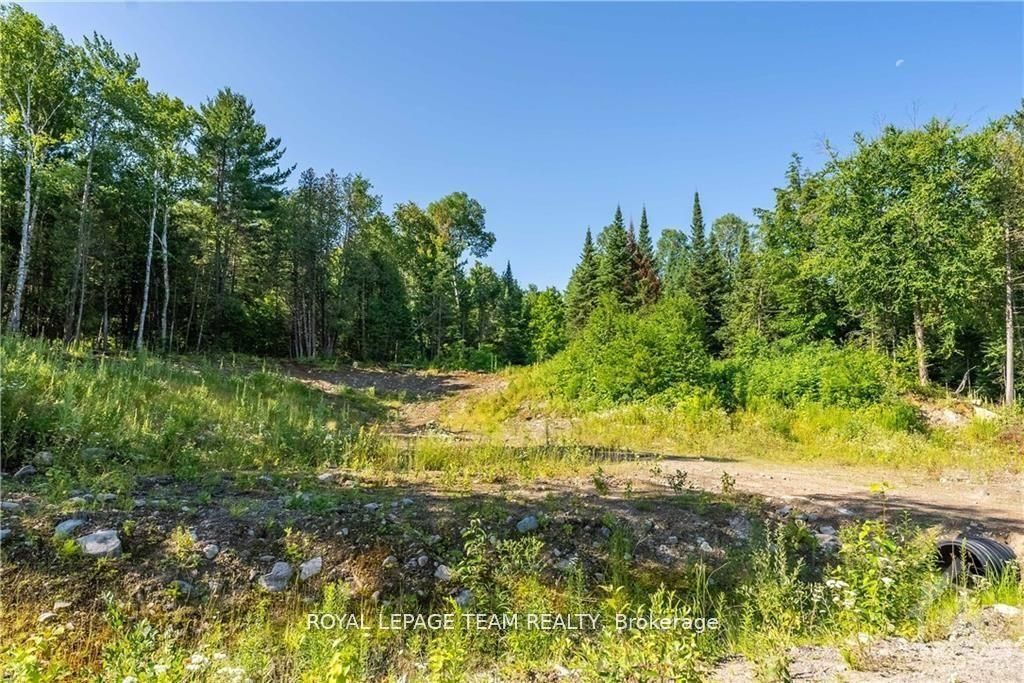 Lot 17 Bark Bay Trail Property Photo 5