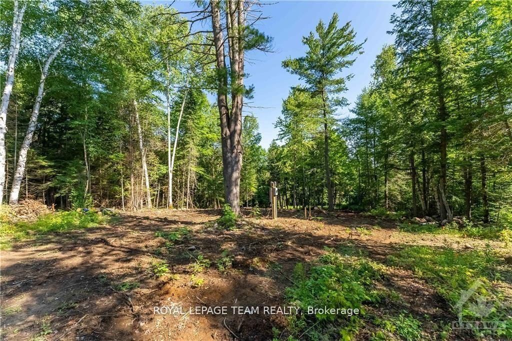 Lot 17 Bark Bay Trail Property Photo 7