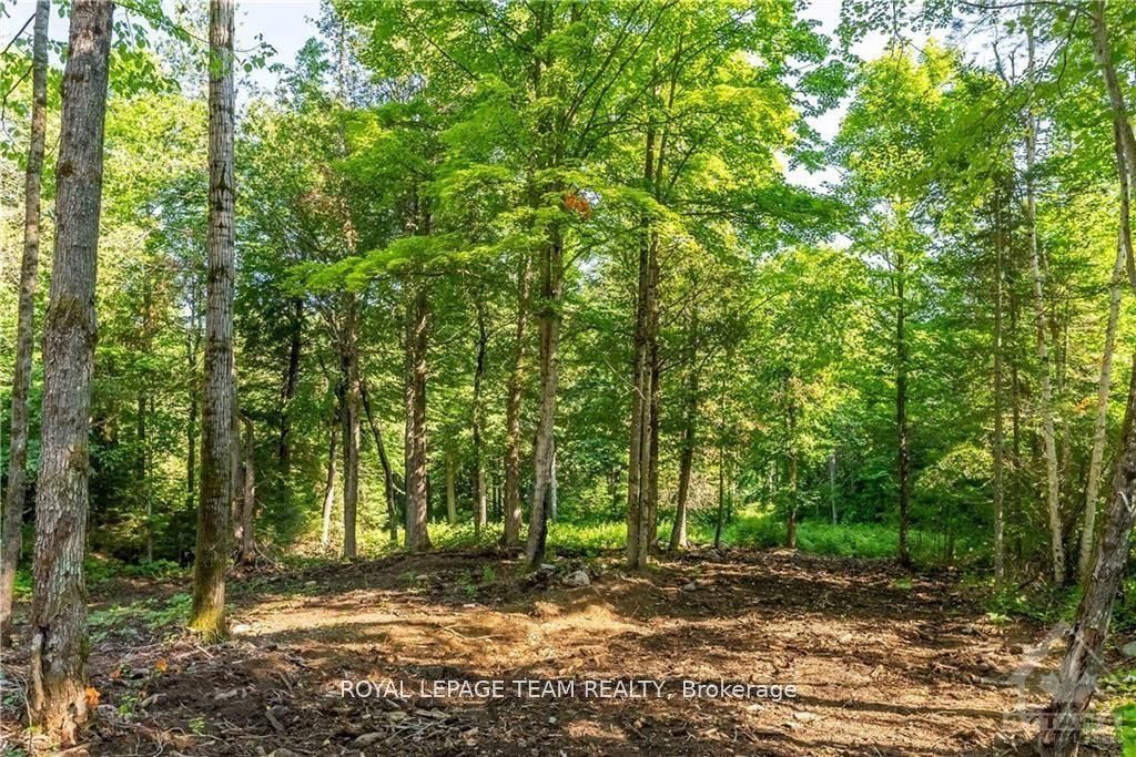 Lot 17 Bark Bay Trail Property Photo 8