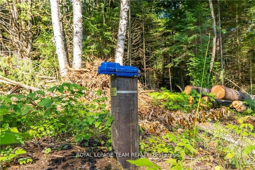 Lot 17 Bark Bay Trail Property Photo 10