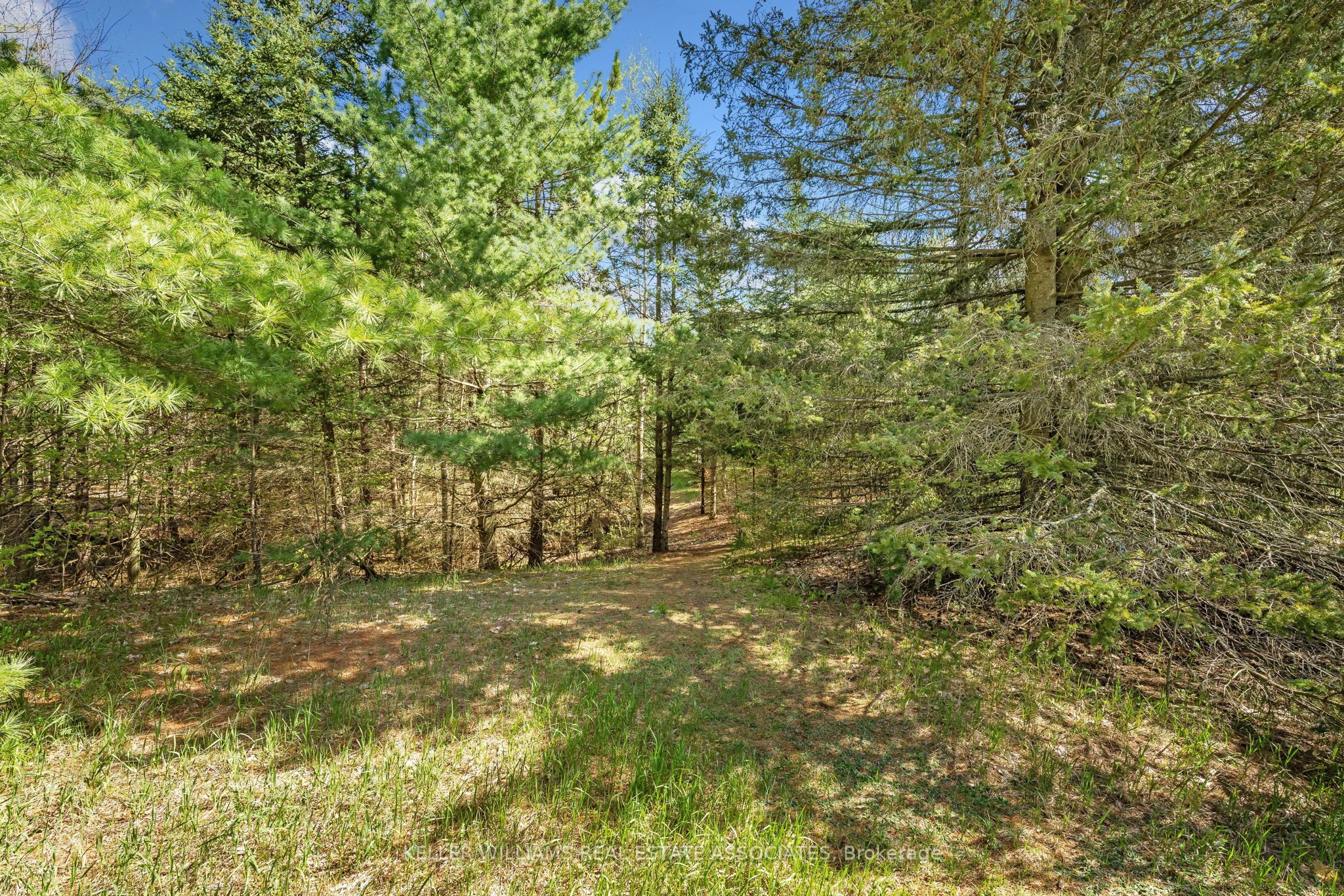 757427 2nd Line East Property Photo 20