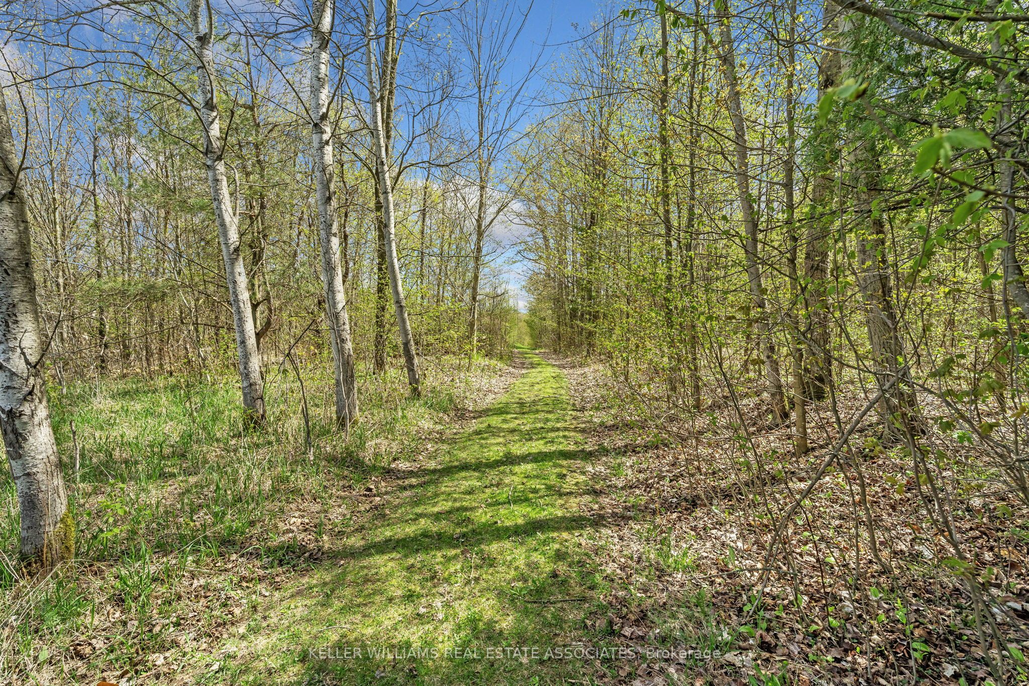 757427 2nd Line East Property Photo 22