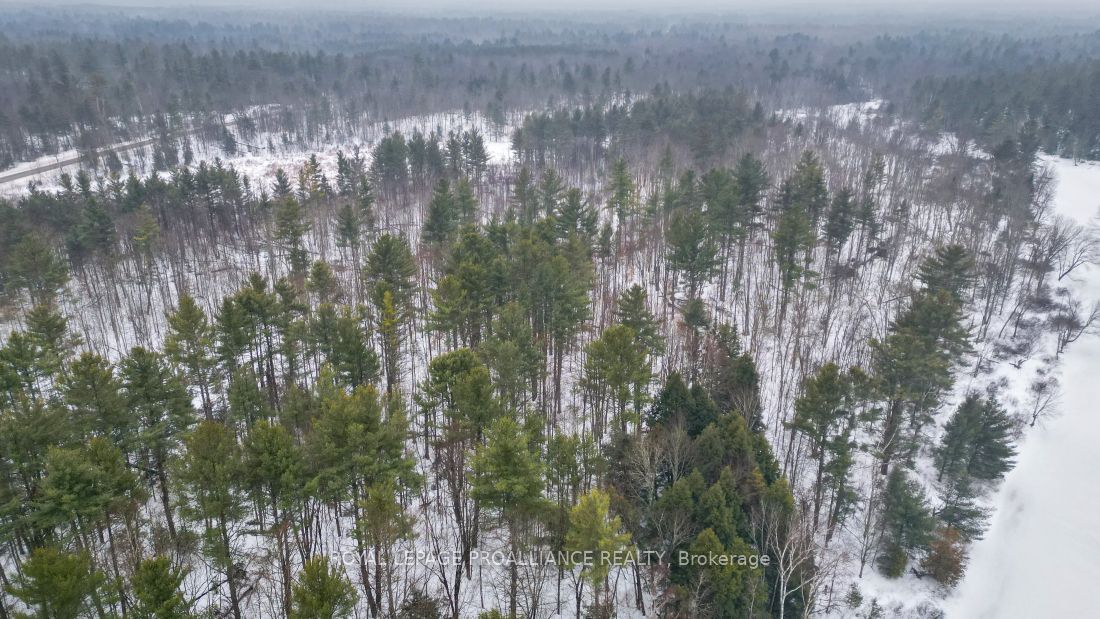 8 Clark Line Road Property Photo 5