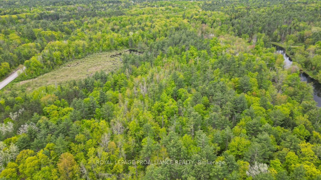 8 Clark Line Road Property Photo 7