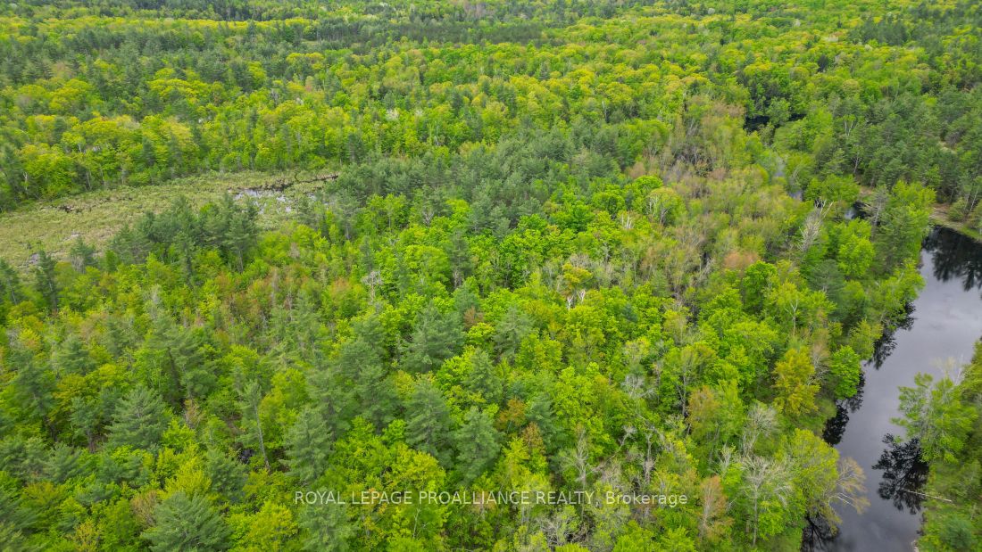 8 Clark Line Road Property Photo 8
