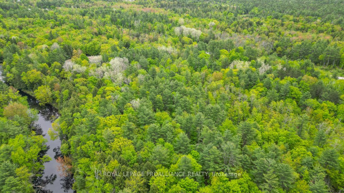 8 Clark Line Road Property Photo 9