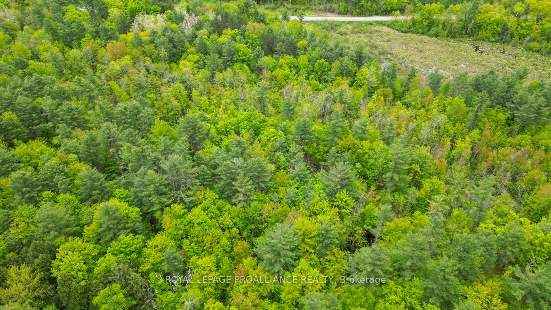 8 Clark Line Road Property Photo 10