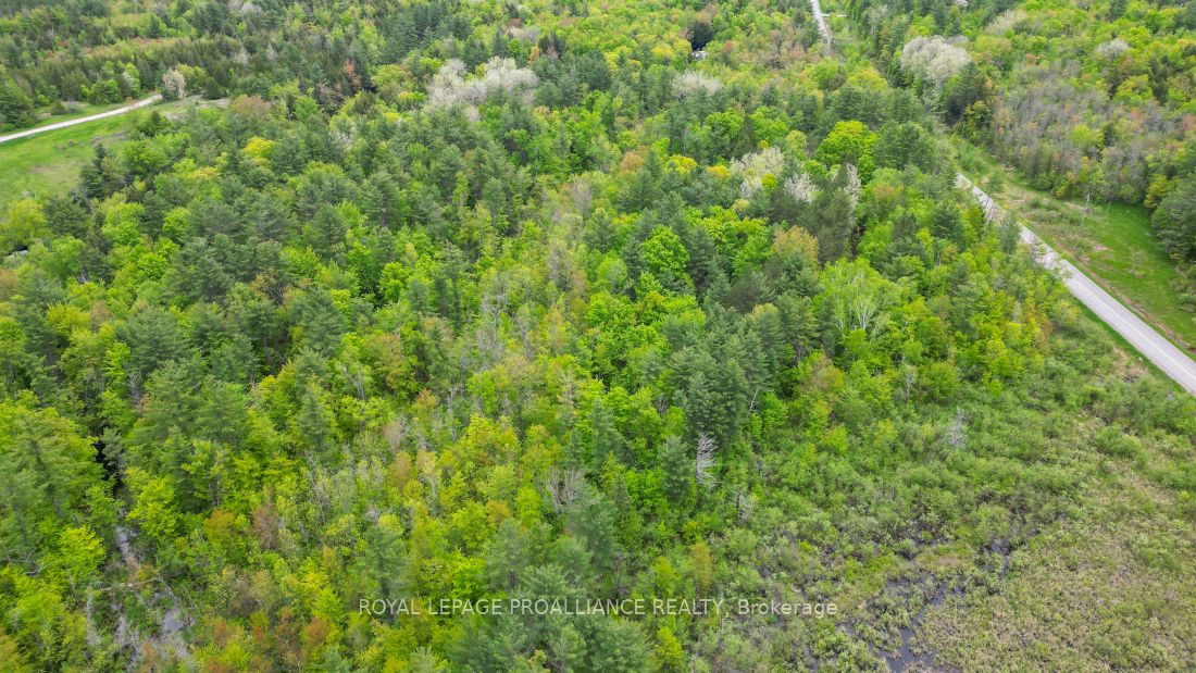 8 Clark Line Road Property Photo 12