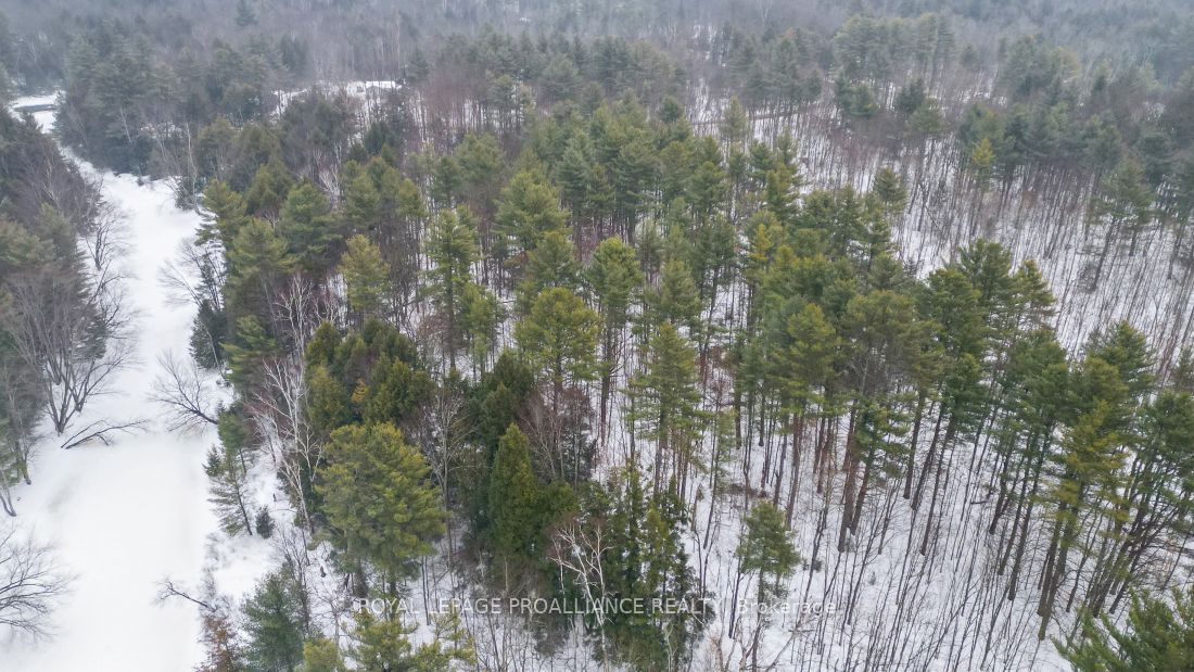 8 Clark Line Road Property Photo 13