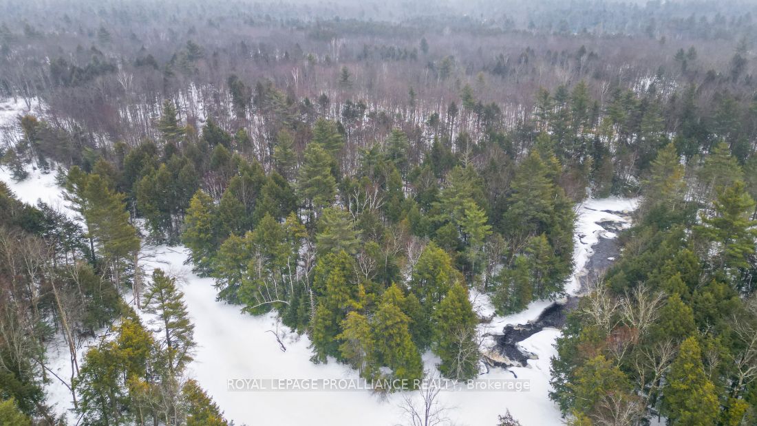 8 Clark Line Road Property Photo 15