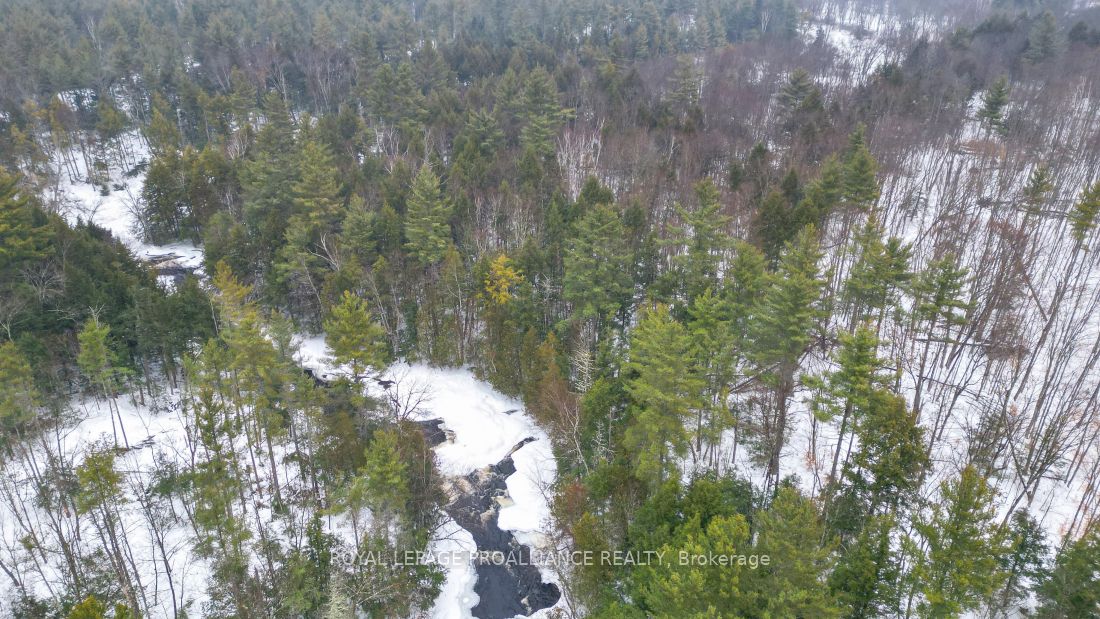 8 Clark Line Road Property Photo 17