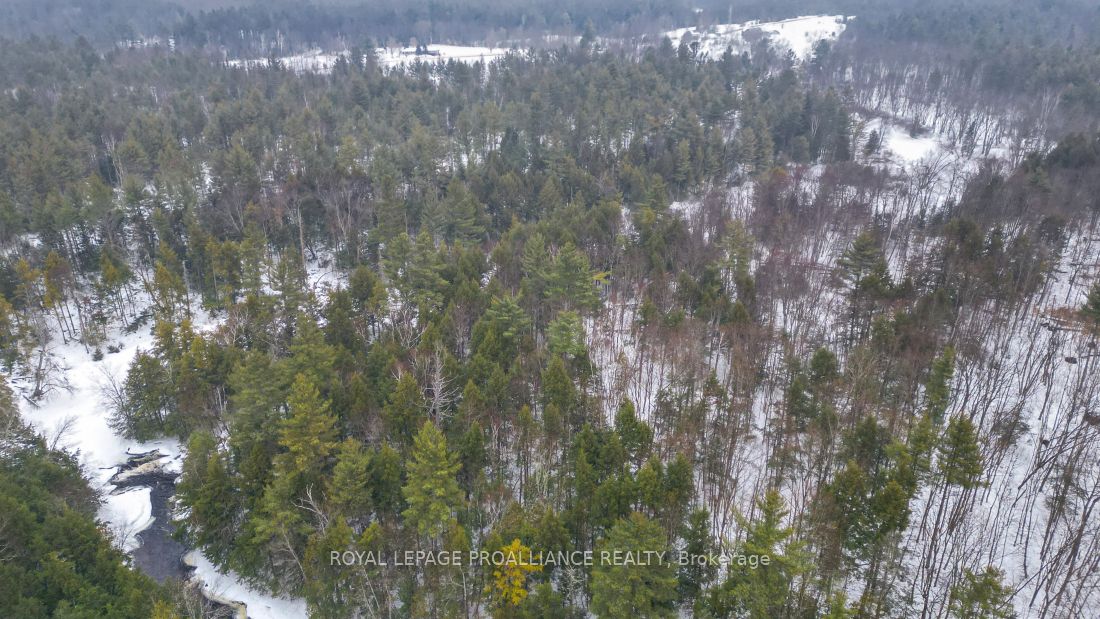 8 Clark Line Road Property Photo 18