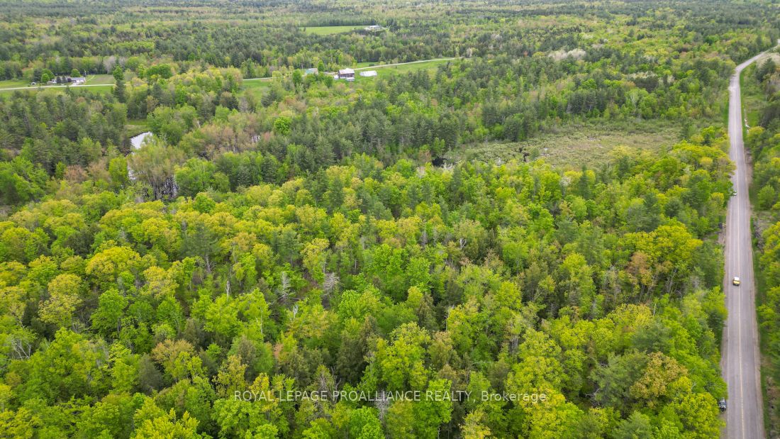 8 Clark Line Road Property Photo 19