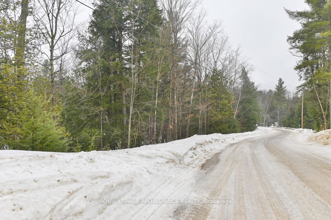 8 Clark Line Road Property Photo 21