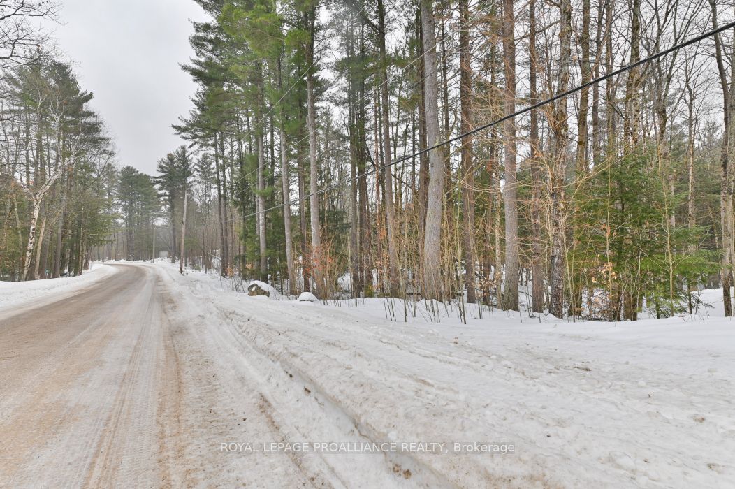 8 Clark Line Road Property Photo 22