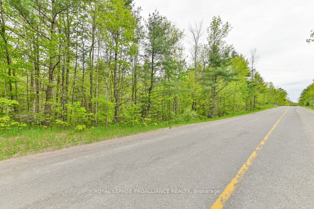8 Clark Line Road Property Photo 23