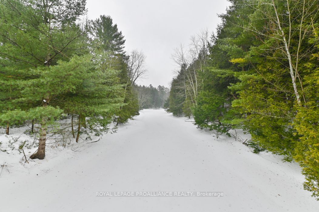 8 Clark Line Road Property Photo 24