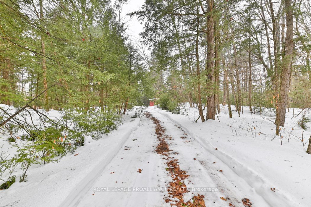 8 Clark Line Road Property Photo 25