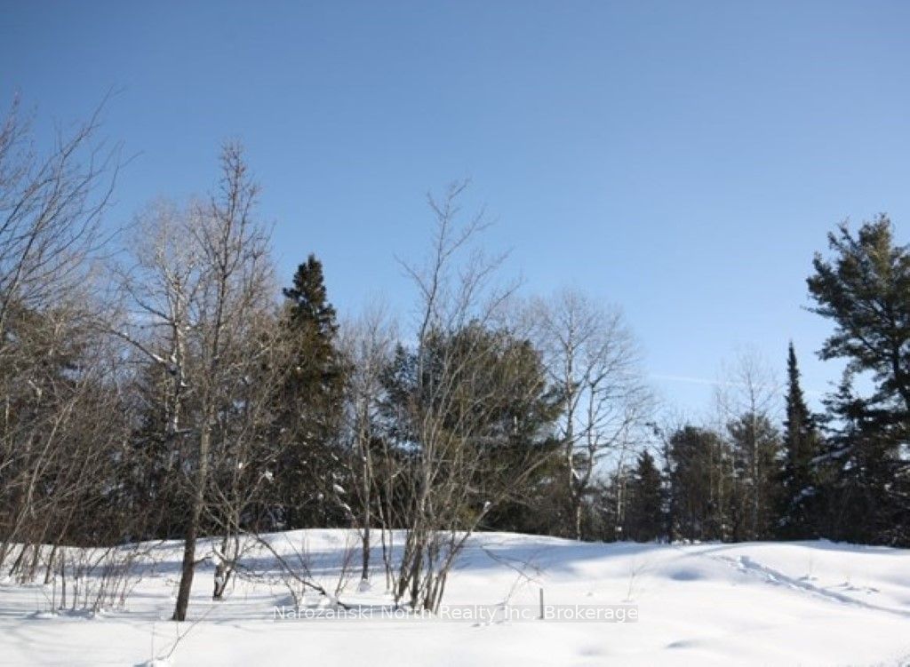 205 Montee Brazeau Property Photo