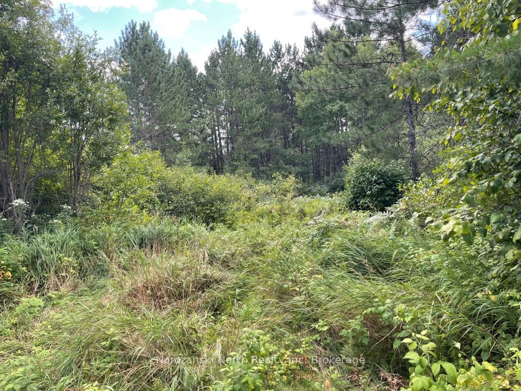 205 Montee Brazeau Property Photo 4