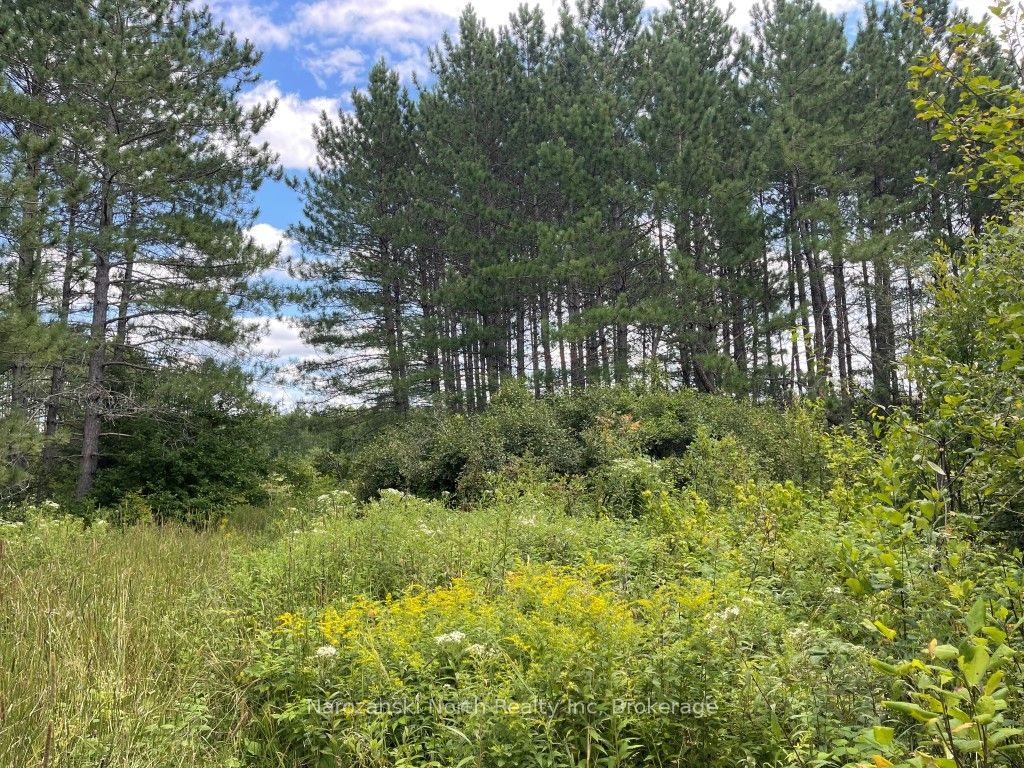 205 Montee Brazeau Property Photo 5