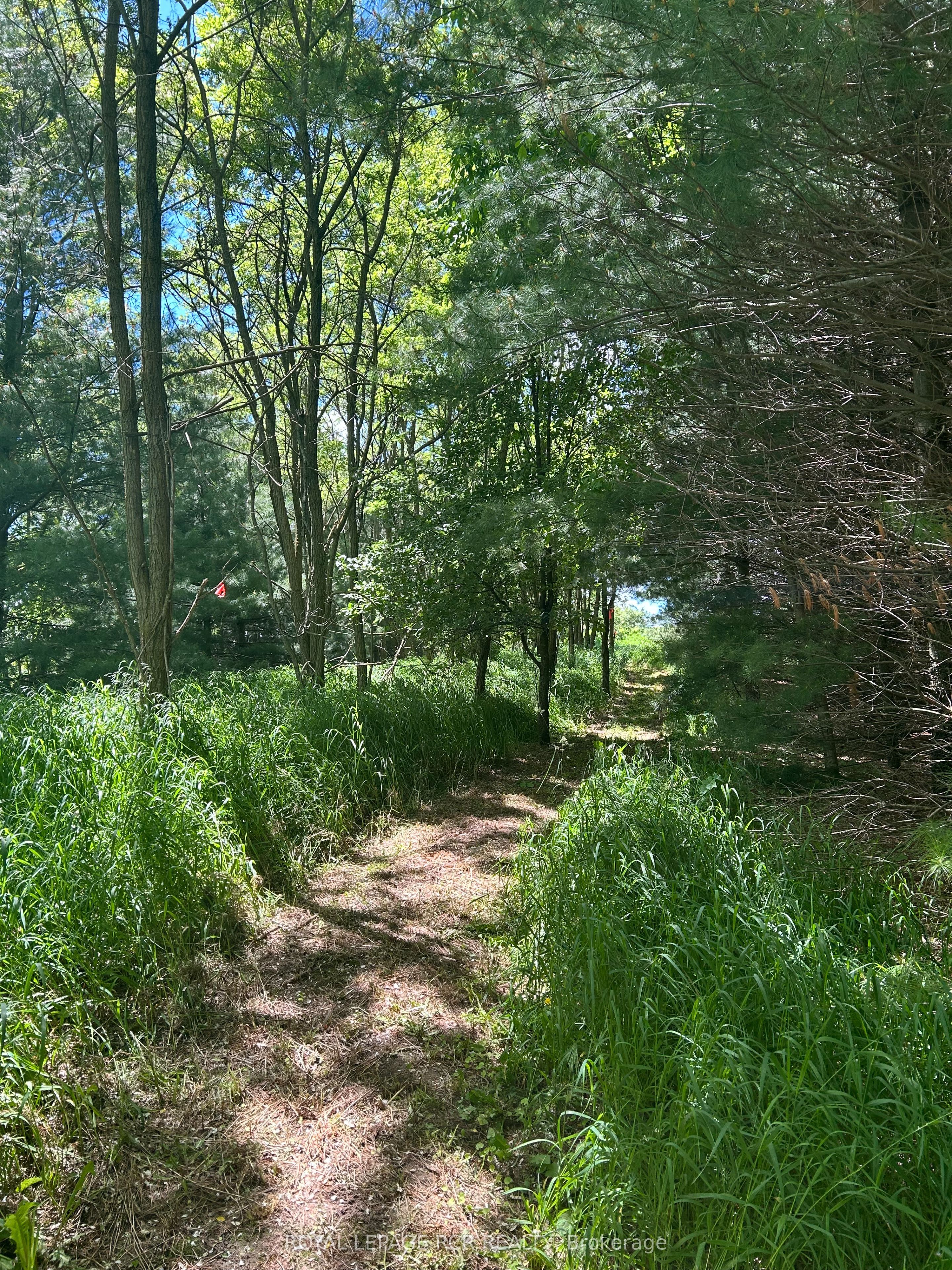 Lot 29 5th Line Property Photo 4