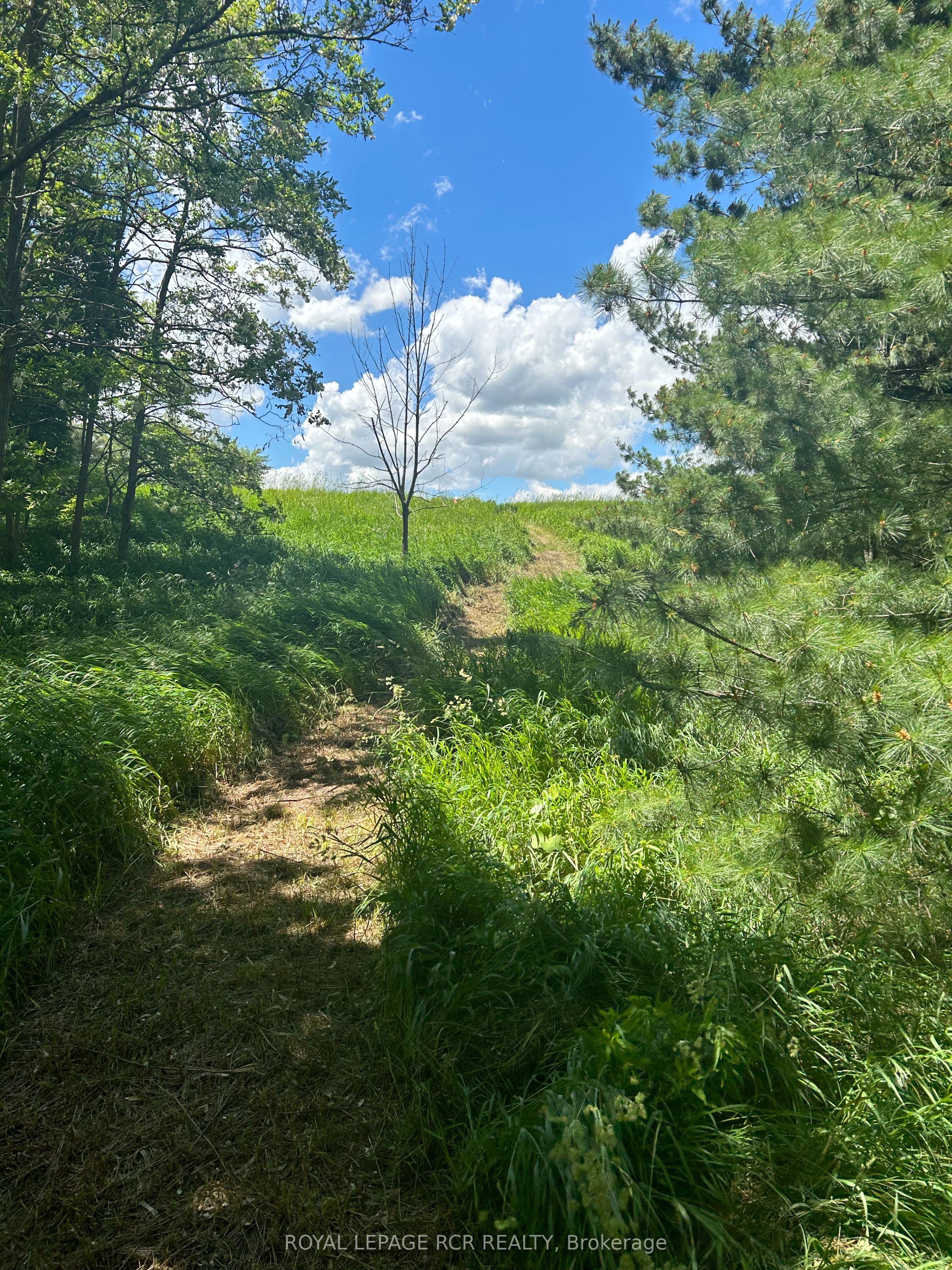 Lot 29 5th Line Property Photo 5