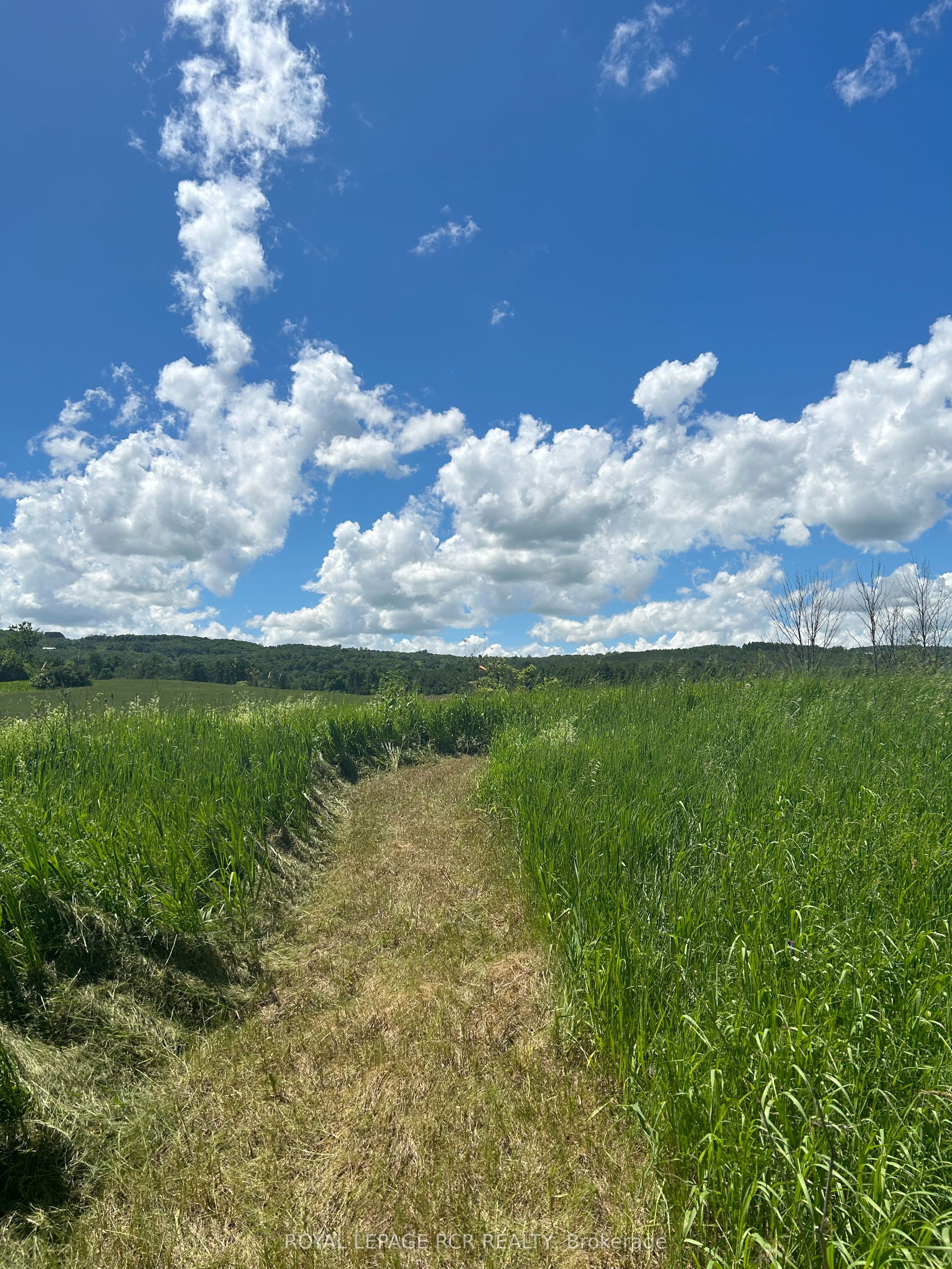 Lot 29 5th Line Property Photo 6