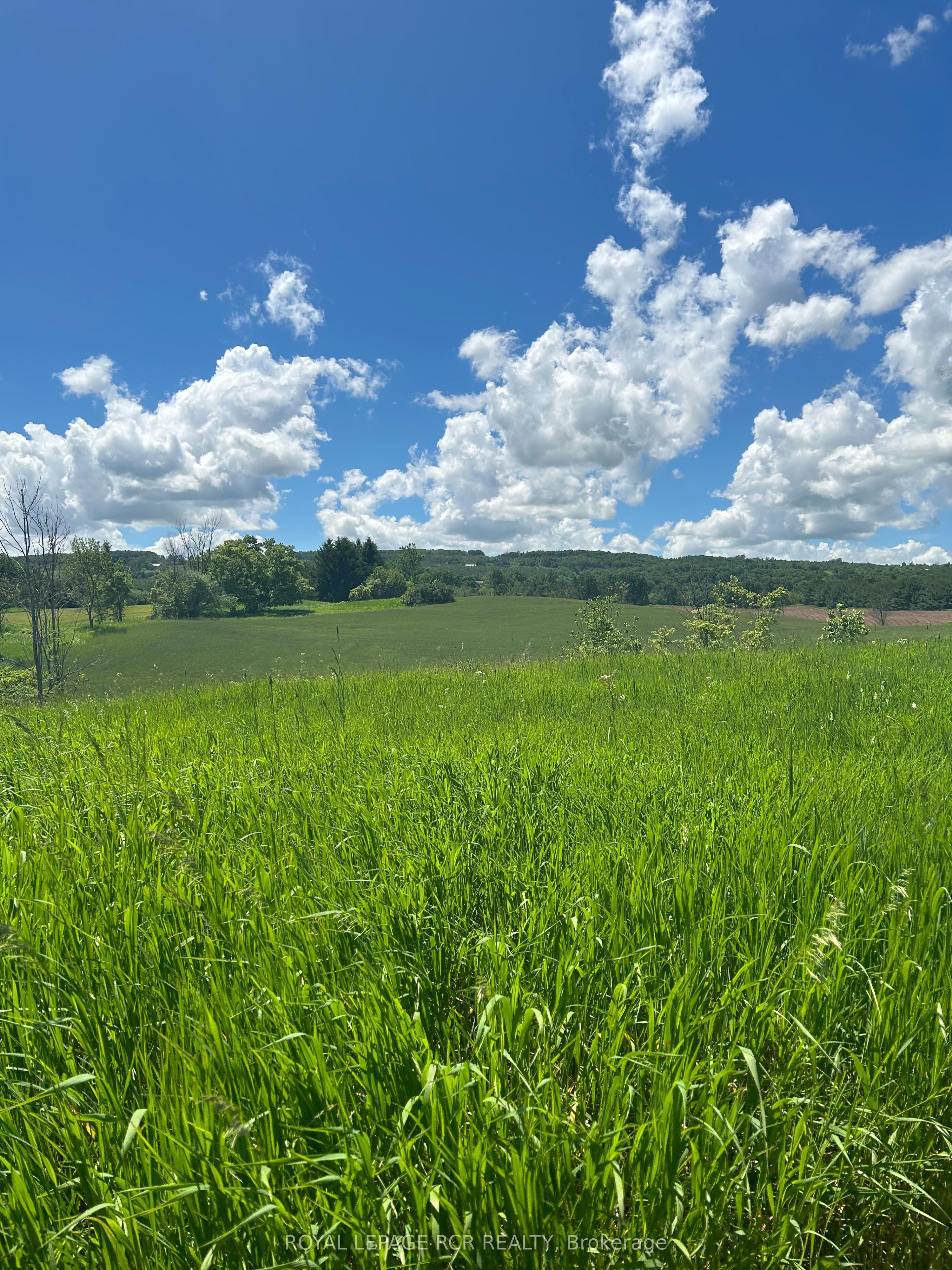 Lot 29 5th Line Property Photo 7