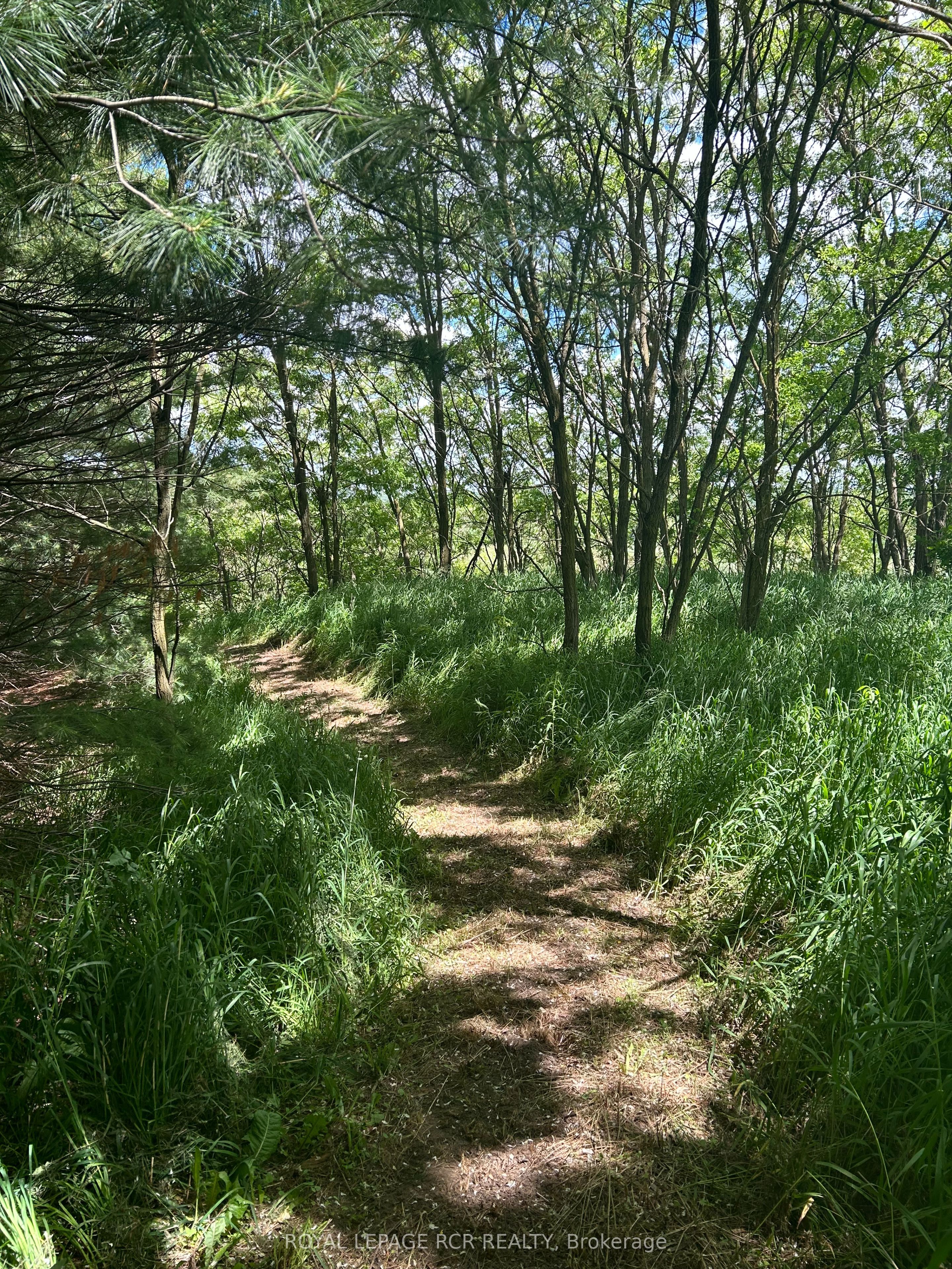 Lot 29 5th Line Property Photo 8