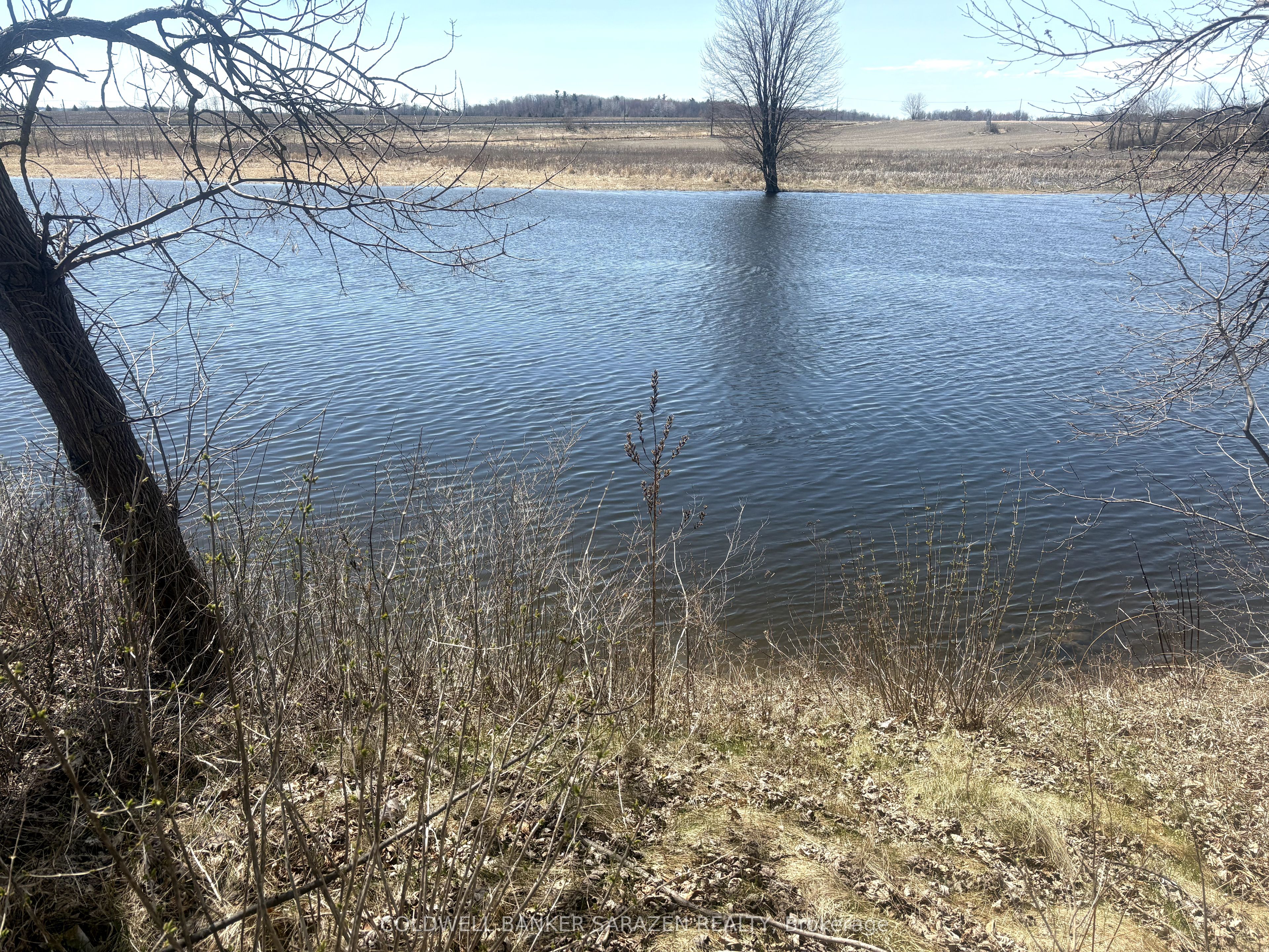143 Gypsy Lane Property Photo 4