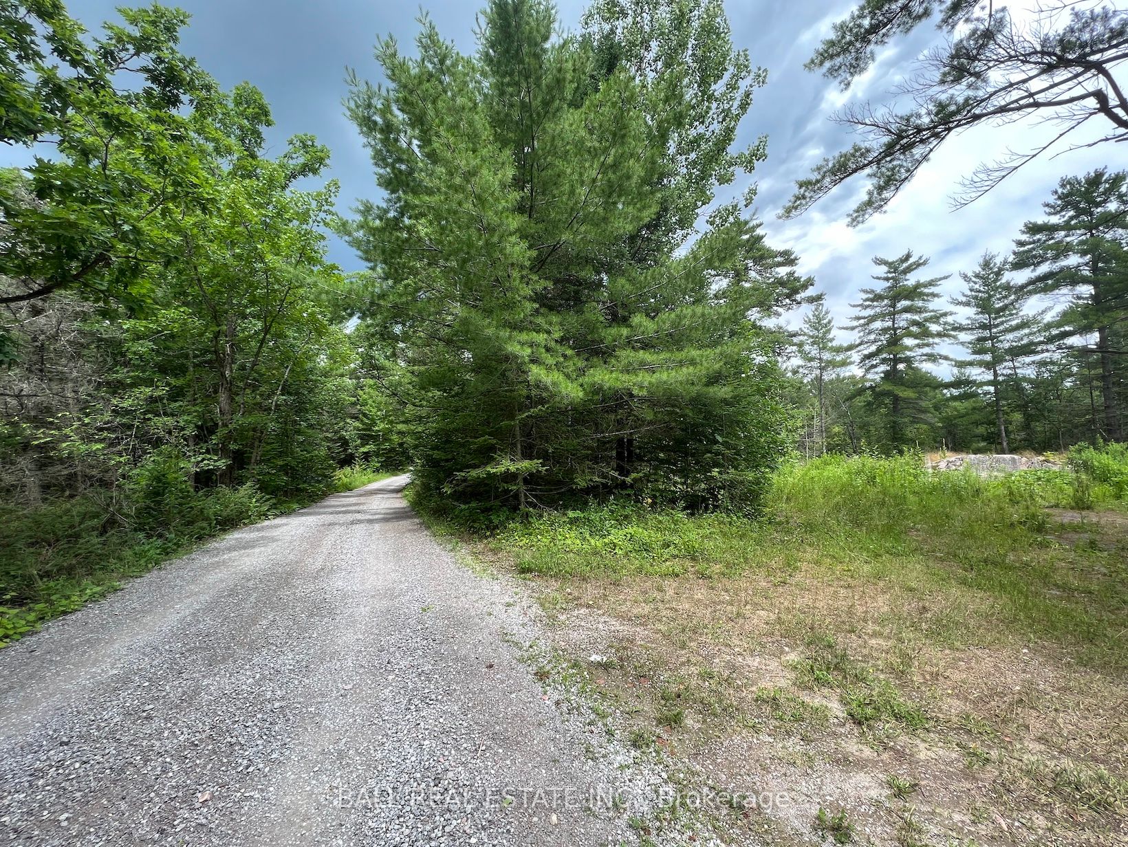 3 Fire Route 81 Property Photo 2