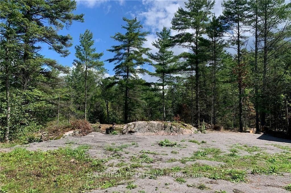 3 Fire Route 81 Property Photo 3