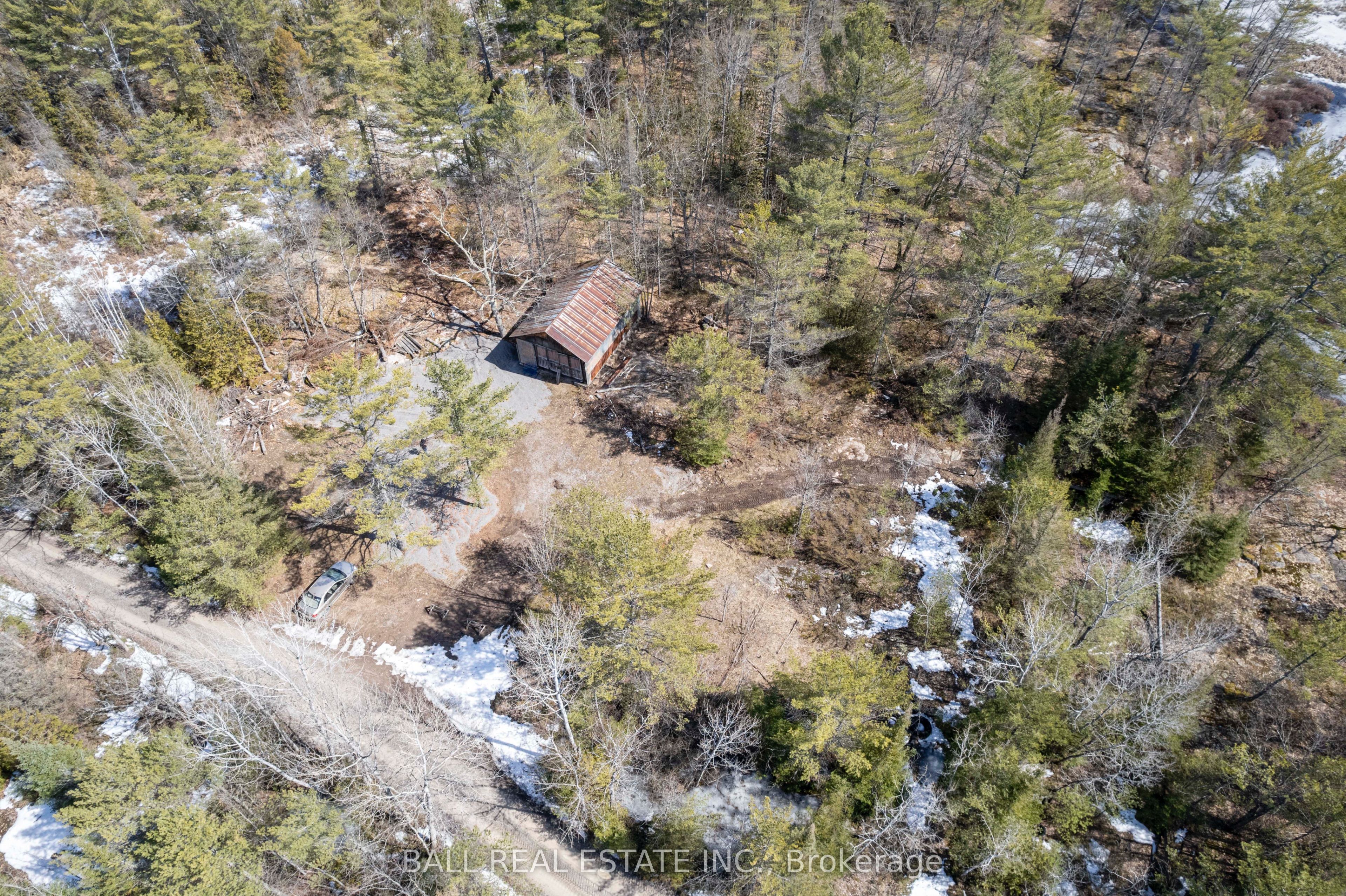 3 Fire Route 81 Property Photo 5