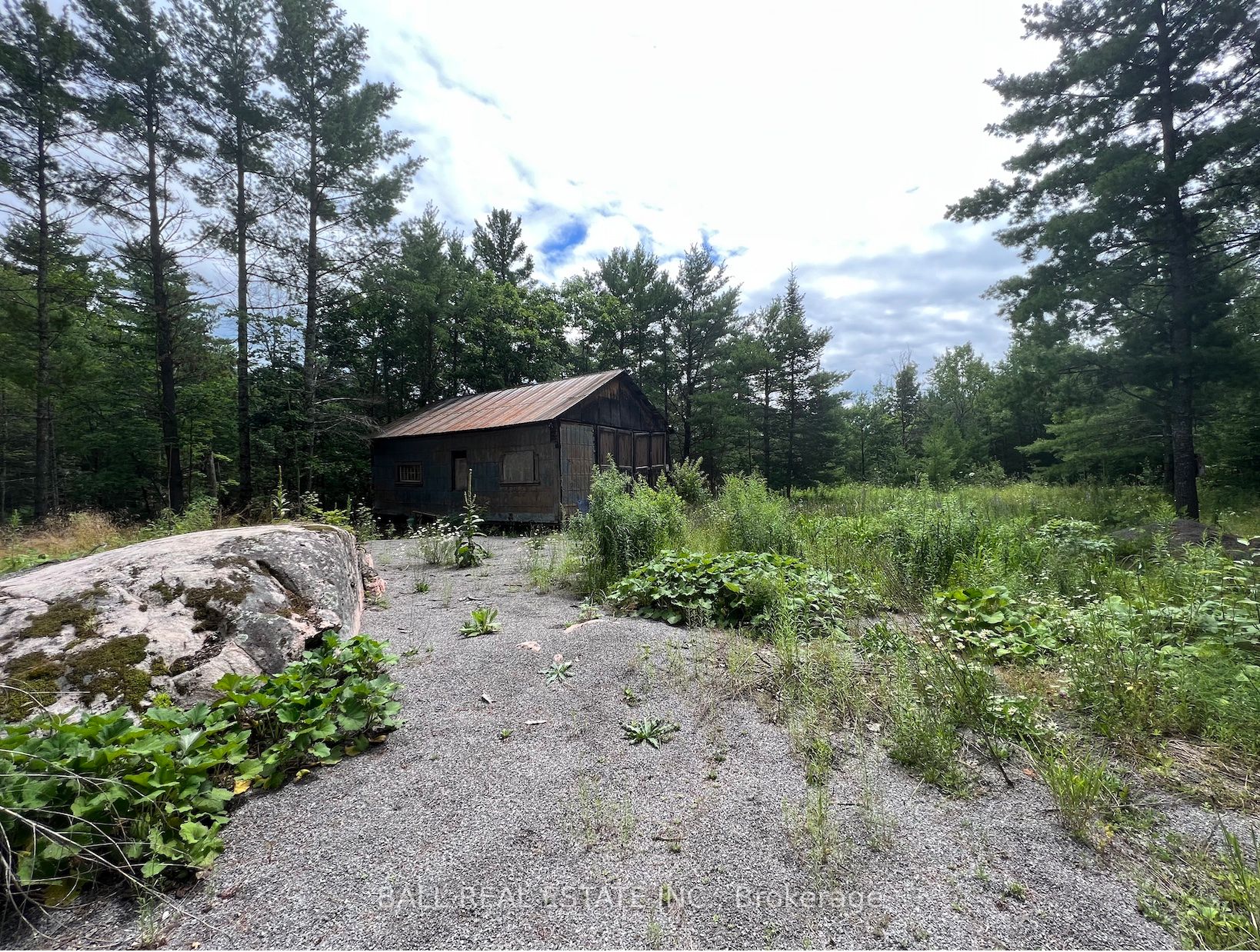 3 Fire Route 81 Property Photo 10