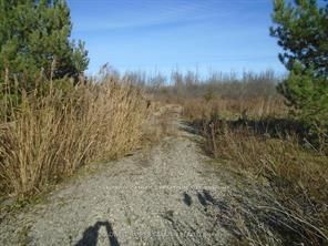 3-49 Rideau Avenue Property Photo 3