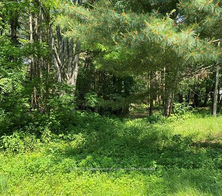 0 Lakeport Road Property Photo 11