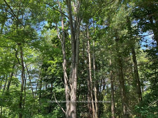 0 Lakeport Road Property Photo 16