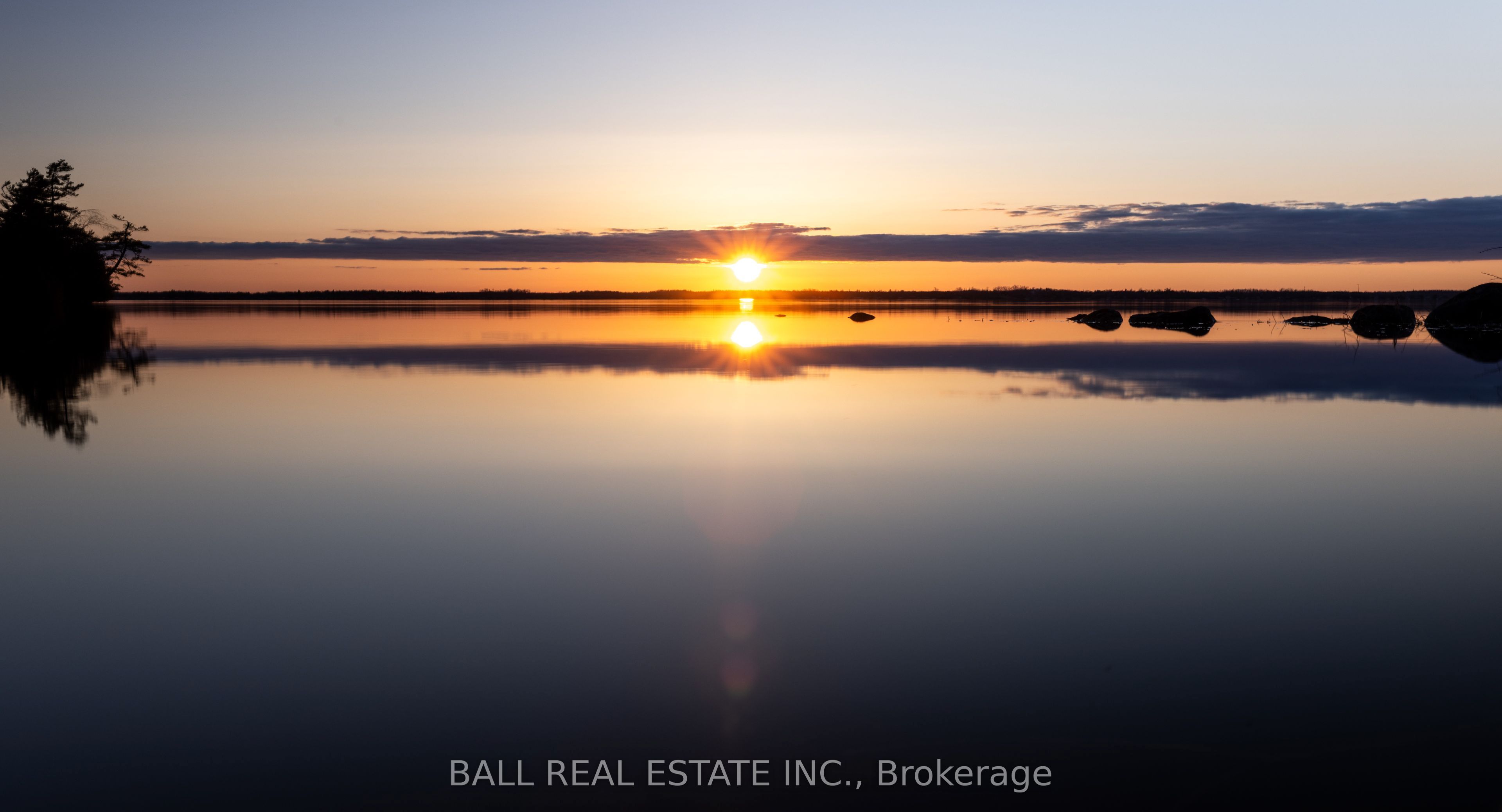 35 Elder Street Property Photo 5