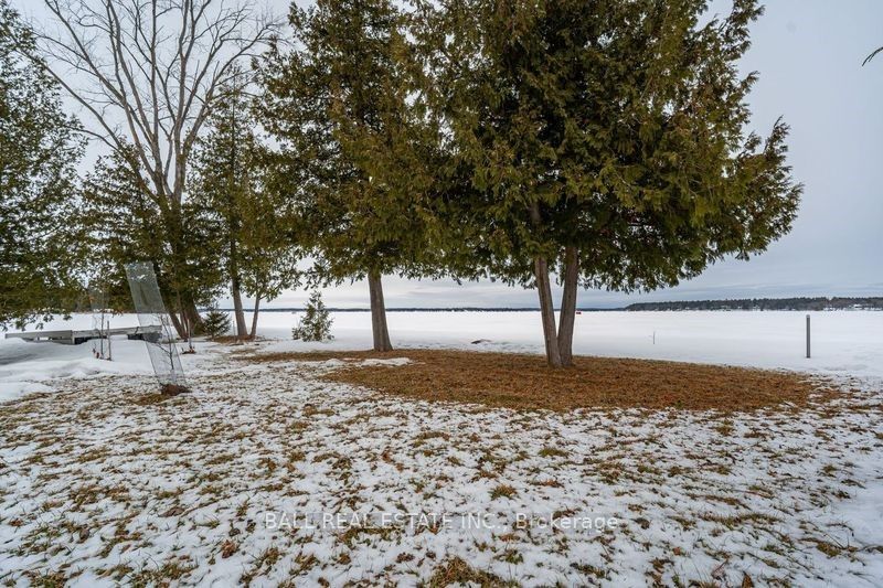 35 Elder Street Property Photo 27