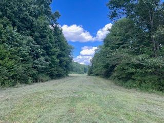 2494 Sulphide Road Property Photo 5