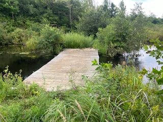 2494 Sulphide Road Property Photo 6