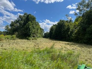 2494 Sulphide Road Property Photo 7