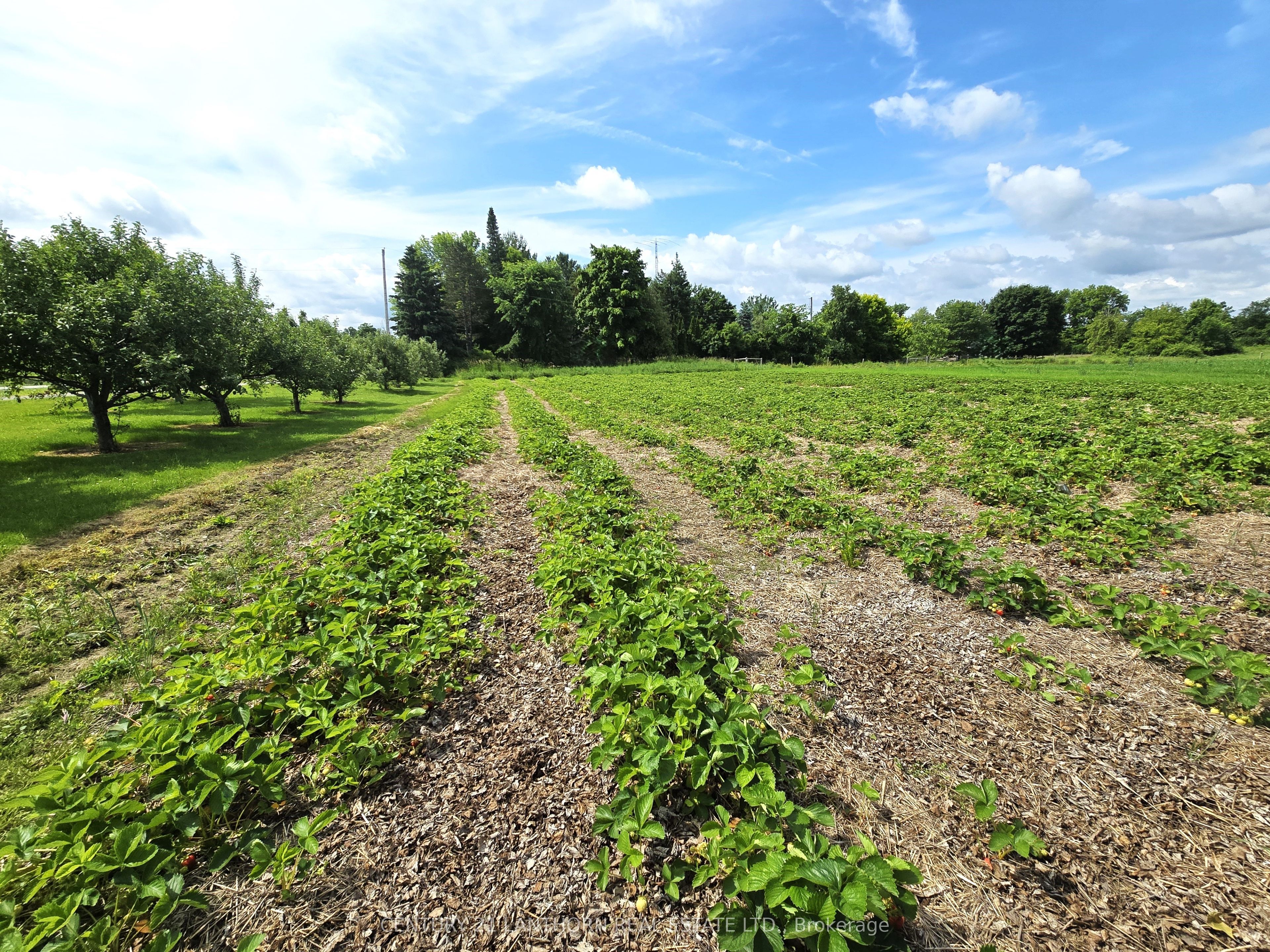 11449 Highway 62 Highway Property Photo 6
