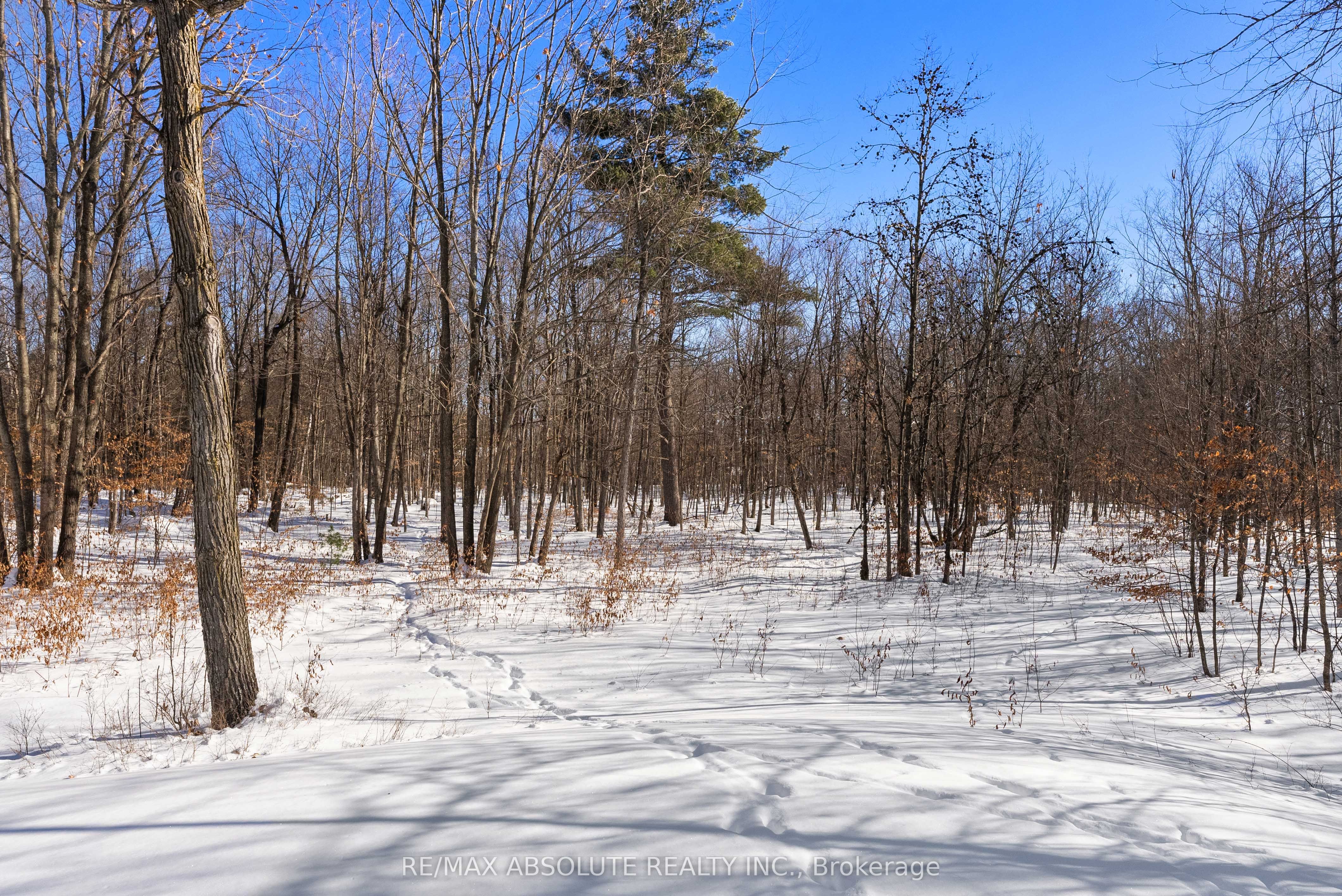 123 Woodridge Crescent Property Photo 31
