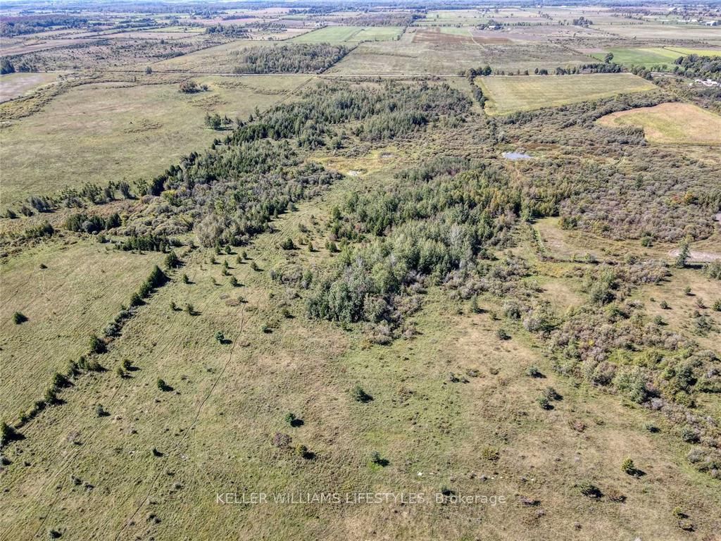 1049 Sandringham Road Property Photo 8